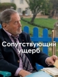 Сопутствующий ущерб - Dommages collatГ©raux