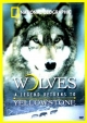 Волчья династия Йеллоустоуна - Yellowstone Wolf Dynasty