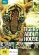 Тигры в доме - Tigers About the House