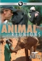 Встречи старых друзей - Wild Animal Reunions