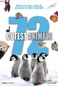 72 самых милых животных - 72 Cutest Animals