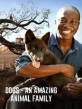 Удивительное семейство псовых - Dogs- An Amazing Animal Family