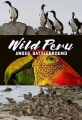 Дикая природа Перу: арена боев - Анды - Wild Peru- Andes Battleground