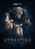 Династии - Dynasties