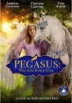 Пони с перебитым крылом - Pegasus- Pony with a Broken Wing