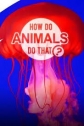 Удивительный мир животных - How do Animals do That