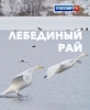 Лебединый рай - 