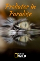 Хищник в раю - Predator in Paradise