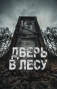 Дверь в лесу - Door in the Woods