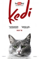 Город кошек - Kedi