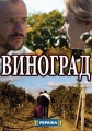 Виноград - 