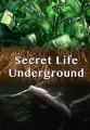 Тайны подземного мира - Secret Life Underground