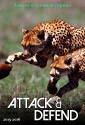Атака и защита - Attack and Defend