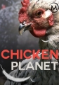 Куриная планета - Chicken Planet