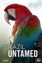 Дикая Бразилия - Brazil Untamed