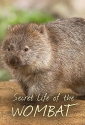 Тайная жизнь вомбата - Secret Life of Wombat