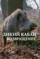 Дикий кабан. Возвращение - Wild Boars. The Comeback