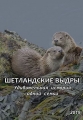 Шетландские выдры. Удивительная история одной семьи - Shetland°s Otters. The Tale of a Draatsi Family