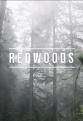 Красный лес - Redwoods