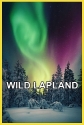 Дикая Лапландия - Wild Lapland