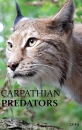 Карпатские хищники - Carpathian Predators