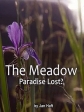 Луг. Потерянный рай - The Meadow - Paradise Lost