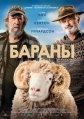 Бараны - Rams