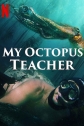 Мой учитель - осьминог - My Octopus Teacher