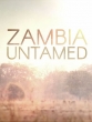 Неукротимая Замбия - Zambia Untamed