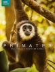 Приматы - Primates