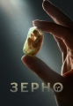 Зерно - 