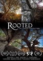 От корня до кроны: тайны деревьев - Rooted