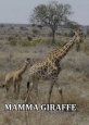 Мама-жираф - Mamma Giraffe