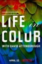 Жизнь в цвете с Дэвидом Аттенборо - Life in Colour