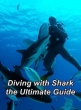 Дайвинг с акулами: полное руководство - Diving with Sharks- the Ultimate Guide