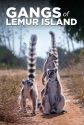 Банды острова лемуров - Gangs of Lemur Island