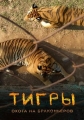 Тигры: Охота на браконьеров - Tigers- Hunting the Traffickers