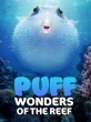    - Puff- Wonders of the Reef