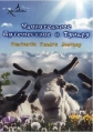 Удивительное путешествие в тундру - Fantastic Tundra Journey