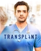 Трансплантация - Transplant
