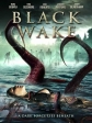 Тёмное пробуждение - Black Wake