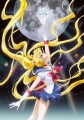 -  :  - Bishoujo Senshi Sailor Moon Crystal