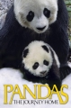 :   - Pandas- The Journey Home
