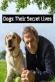    - Dogs- Their Secret Lives