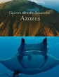 Морские гиганты Азорских островов - Giants of the Atlantic Azores