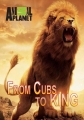 Рожденные свободными - From Cubs to Kings