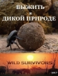 Выжить в дикой природе - Wild Survivors