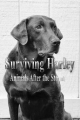 Спасение животных: ураган Харви - Surviving Harley. Animals After the Storm