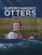 BBC: Неутомимые выдры - Supercharged Otters