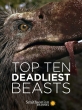 Топ-10 самых смертоносных чудовищ - Top Ten Deadliest Beasts